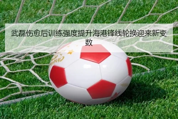 武磊伤愈后训练强度提升海港锋线轮换迎来新变数