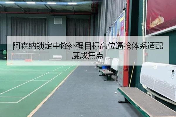 阿森纳锁定中锋补强目标高位逼抢体系适配度成焦点