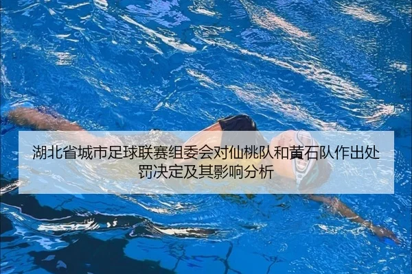 湖北省城市足球联赛组委会对仙桃队和黄石队作出处罚决定及其影响分析